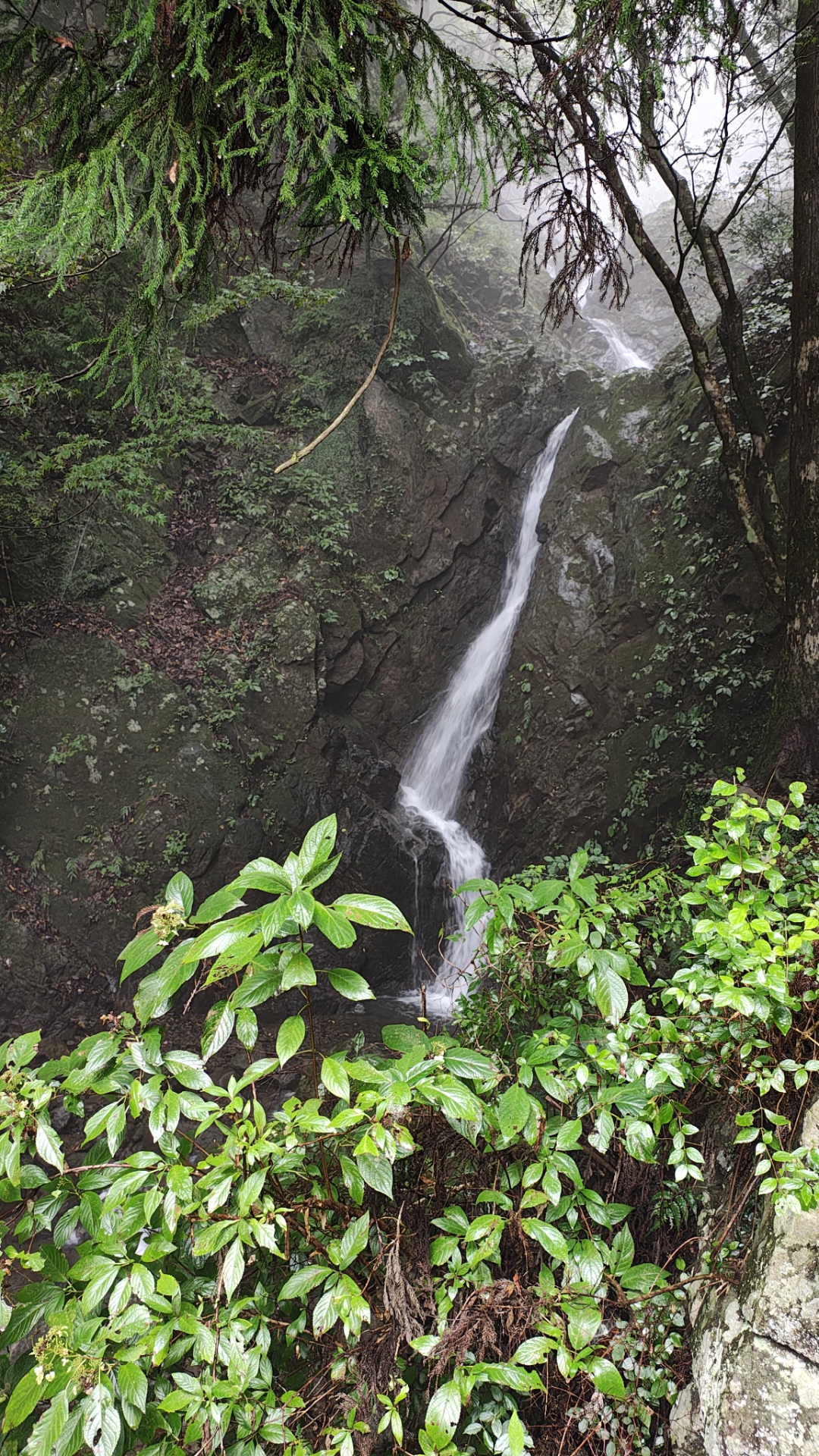 山脈