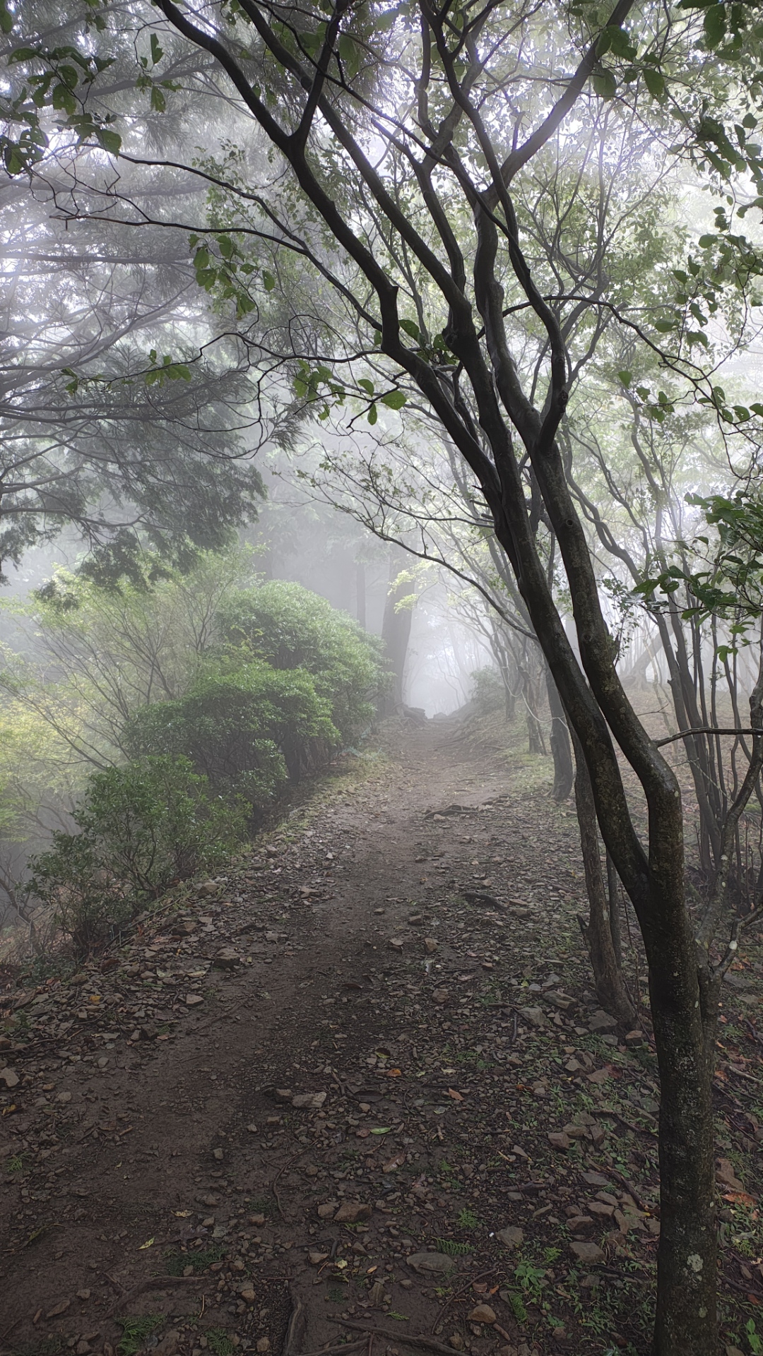 山道